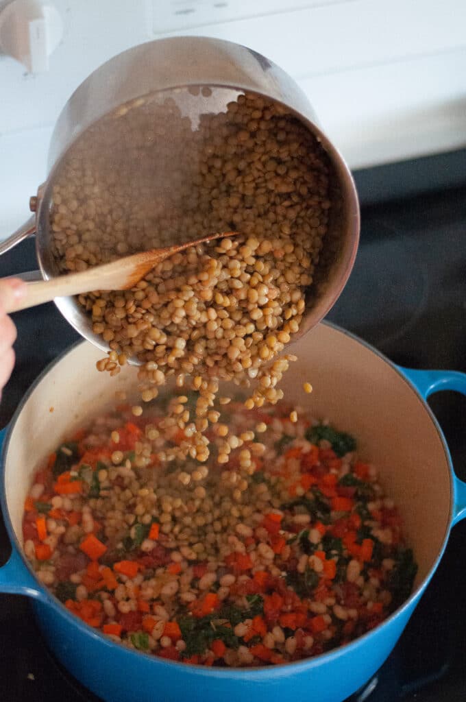 Process shot of a dutch oven filled with sauteed vegetables getting the cooked lentils added into it. The lentils are floating in mid-air in this stop-action photo.
