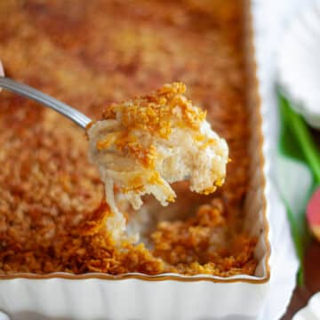 Feature image for our cheesy potatoes recipe.