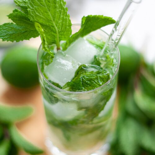 close up of a mojito mocktail in a highball glass. the virgin mojito is garnished with a sprig of fresh mint and has a glass straw.