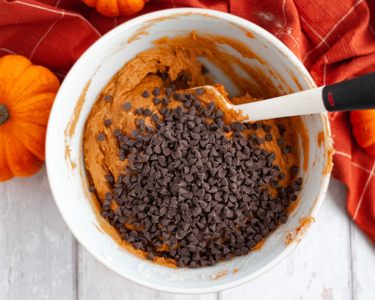 a mixing bowl with pumpkin muffin batter and mini chocolate chips being stirred by a white and black rubber scrapper. an orange plaid linen and mini pumpkins surround the bowl.
