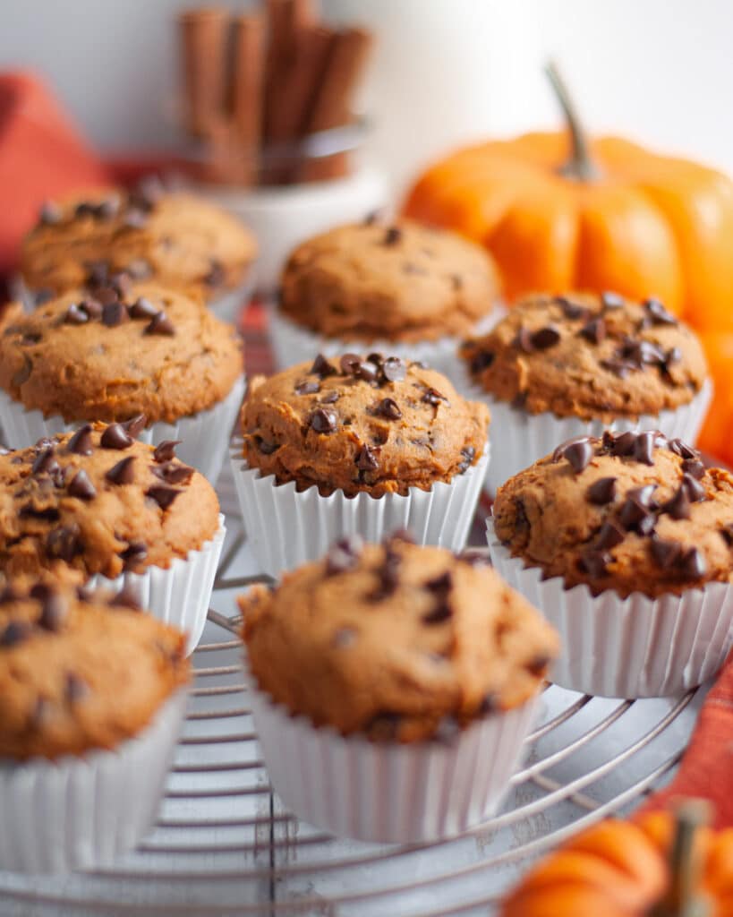 a circular cooling rack filled with 3 ingredient pumpkin muffins with chocolate chips fresh out of the oven. The muffins are in white cupcake liners and the rack is surrounded by an orange linen, mini pumpkins, and a container of cinnamon sticks.