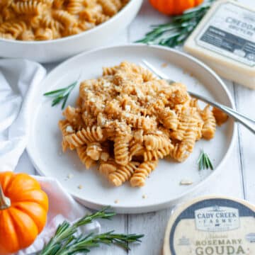 Feature image for our pumpkin macaroni and cheese recipe.