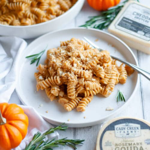 close up of a plate of mac and cheese with a cheesy pumpkin pasta sauce. The plate is surrounded by springs of fresh rosemary, blocks of cheese, mini pumpkins, and a serving bowl of more pumpkin mac and cheese.