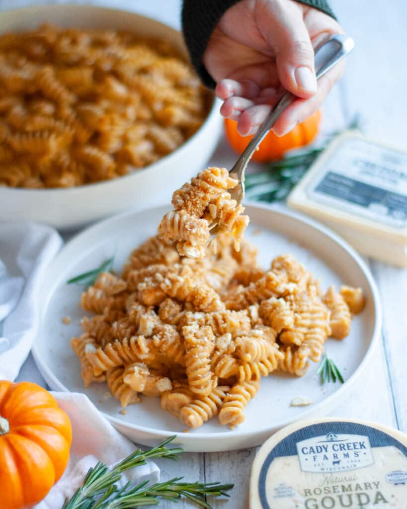 close up of a plate of mac and cheese with a cheesy pumpkin pasta sauce. A hand is shown digging into the pasta. The plate is surrounded by springs of fresh rosemary, blocks of cheese, and a serving bowl of more pumpkin mac and cheese.