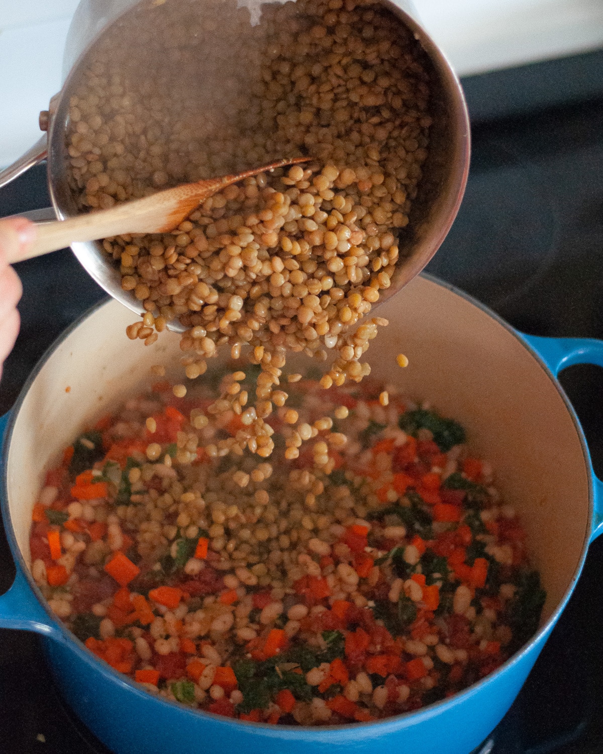 process shot showing tuscan white bean soup being made on the stove. showing cooked lentils being poured into the pot.