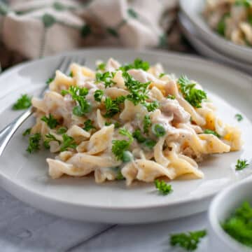 Feature image for our stovetop tuna noodle casserole recipe.