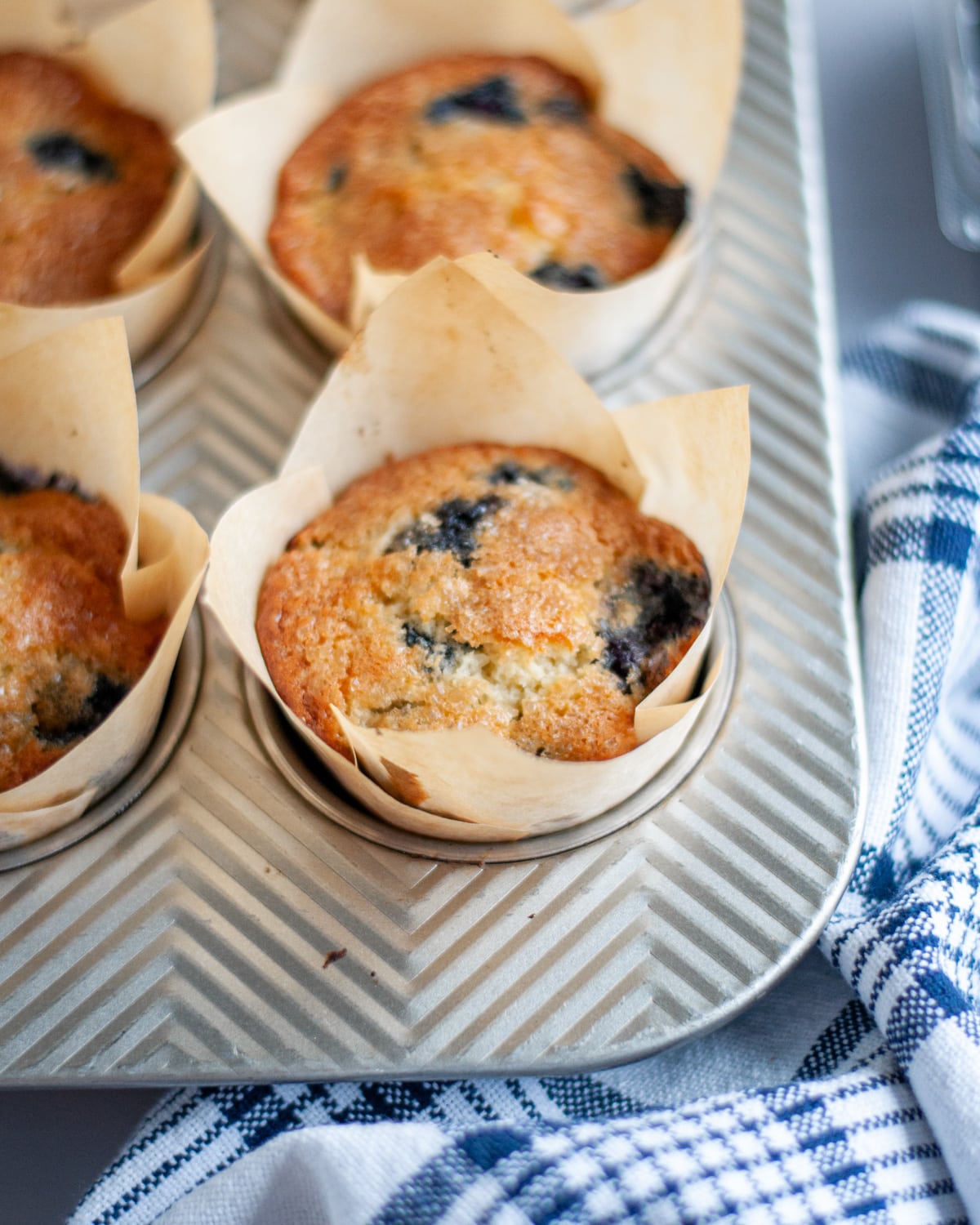 Close up of a golden, baked blueberry muffin fresh out of the oven.