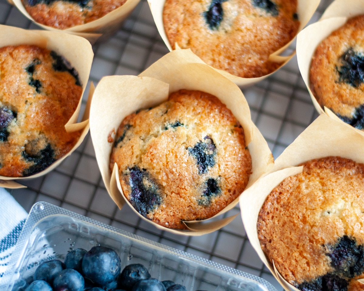 Top down view of the freshly baked blueberry muffins on a wire cooling rack.
