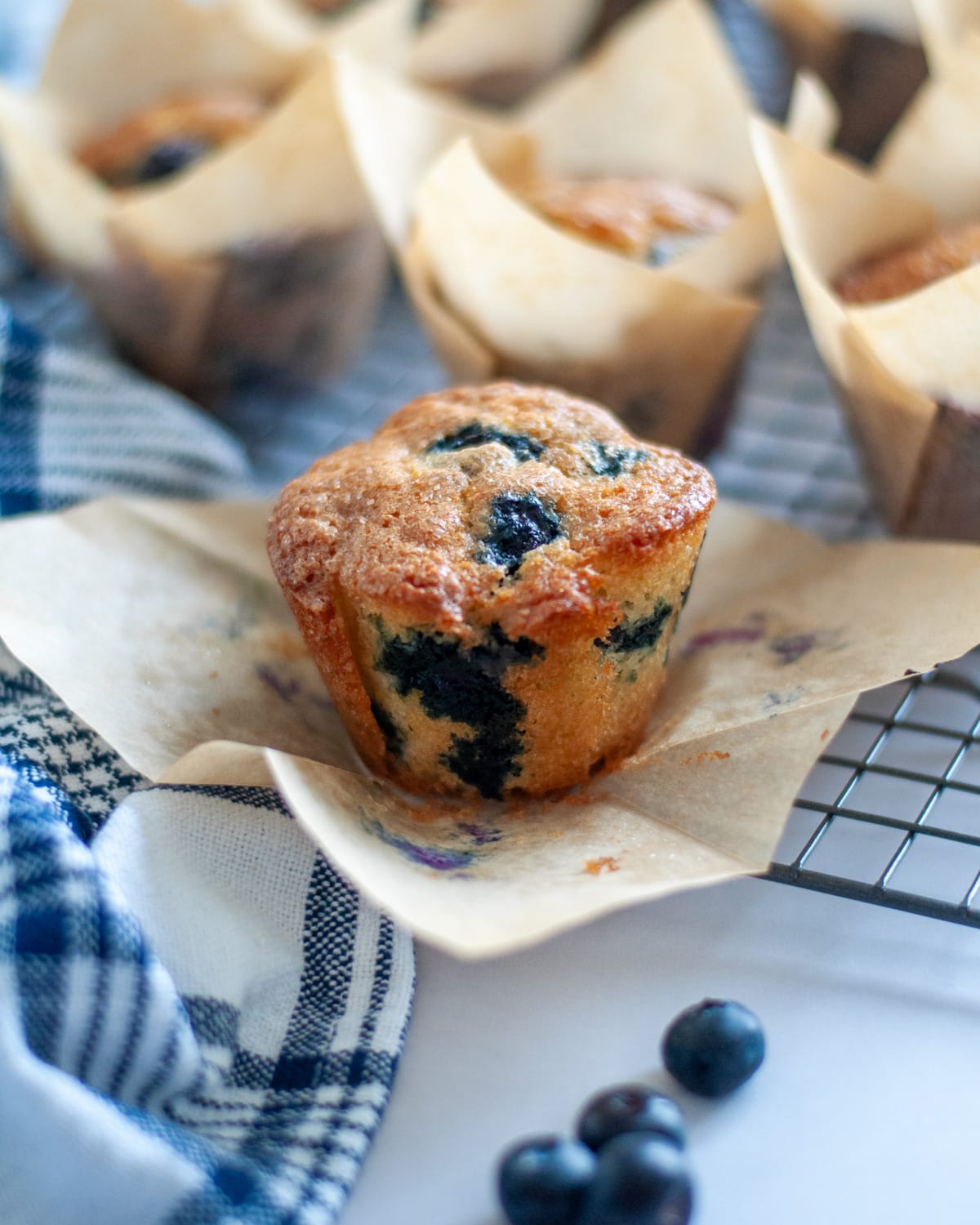 Close up of a blueberry muffin with the wrapper pulled down to show the entire muffin.
