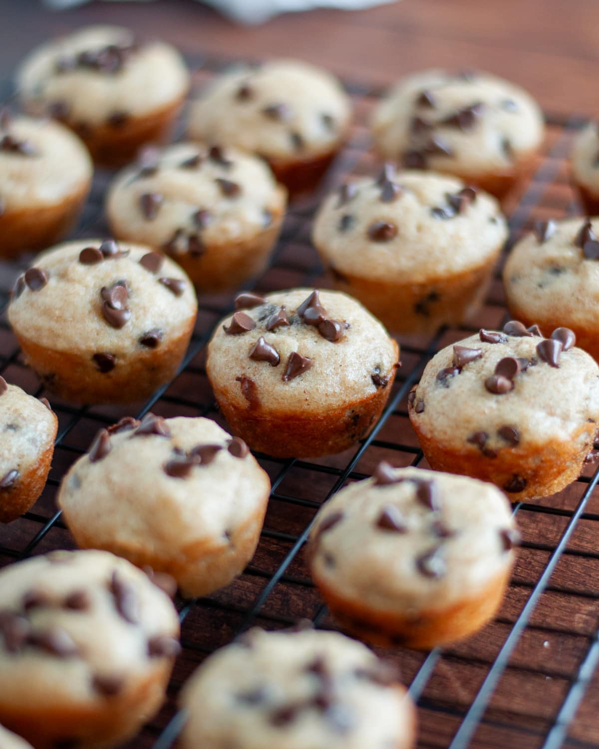 Close up of the chocolate chip mini muffins cooling on a wire cooling rack.
